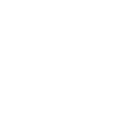 Robust Global Network Infrastructure